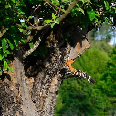 El Corralino 컨트리하우스