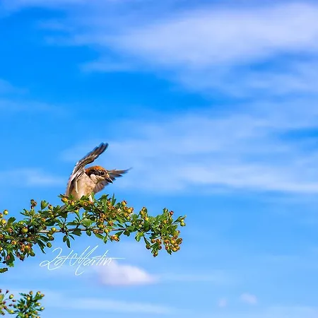 El Corralino Casa de Campo *
