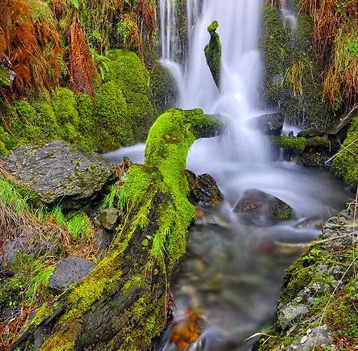 Casa de Campo El Corralino Caminomorisco