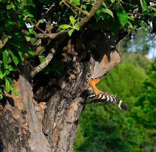 El Corralino Landhuis
