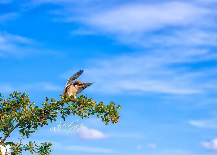 El Corralino Casa de Campo *
